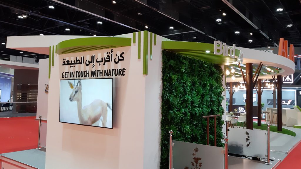 Tarweej - Al Ain Zoo - Tawdheef x Zaheb - Abu Dhabi